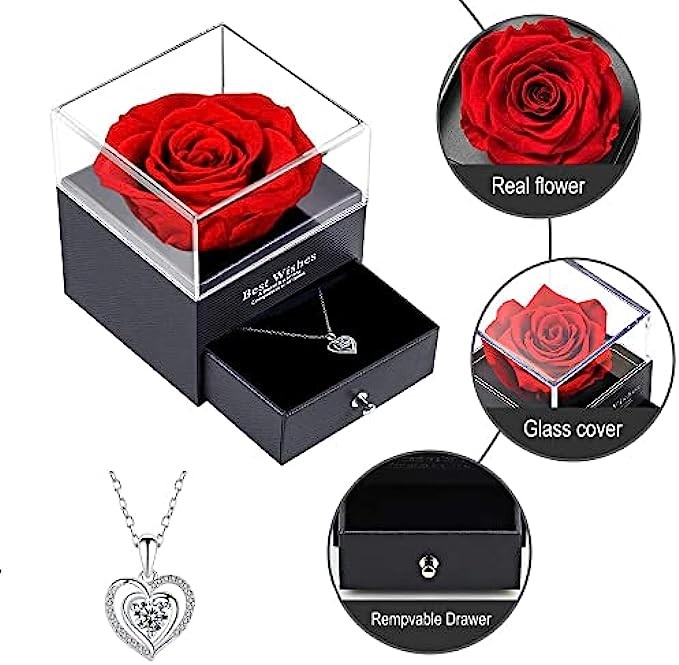 CEINCHOU Valentine's Day Preserved Real Roses with Necklace Birthday, Gift for Women, Valentines Day Gift for Girlfriend, her Wife Mother Valentine Anniversary Mother's Day